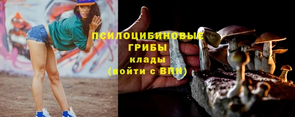 мескалин Аркадак