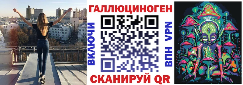 где купить наркотик  Ахтубинск  Галлюциногенные грибы Psilocybe 