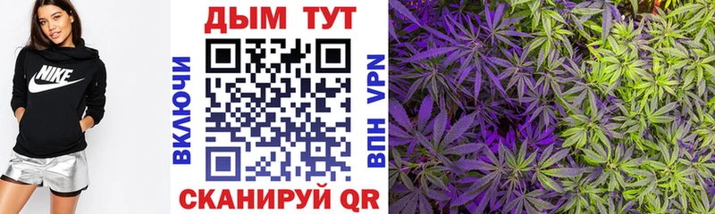 Каннабис Amnesia  Ахтубинск 